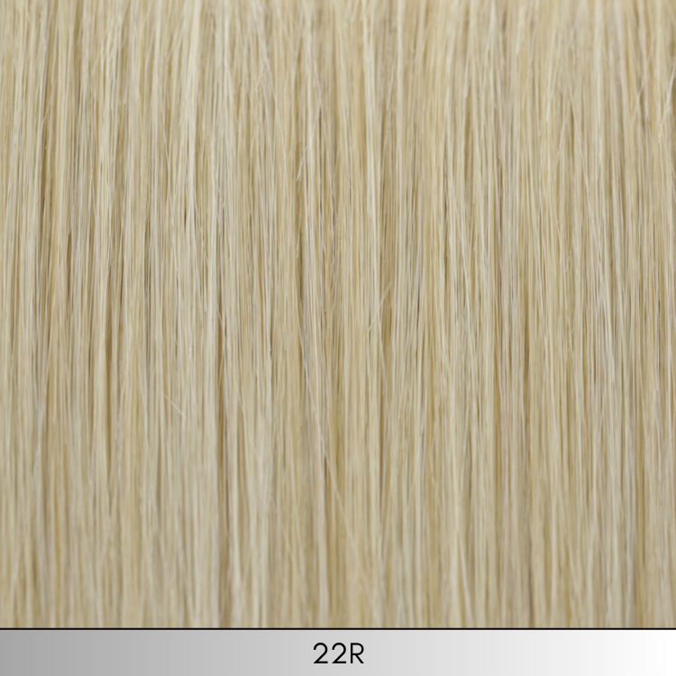 Sleek & Straight - Look Fabulous Collection by TressAllure ***CLEARANCE***