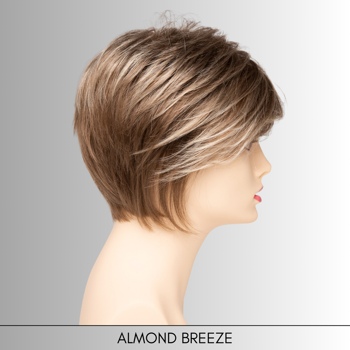 Chantel - Synthetic Wig Collection by Envy