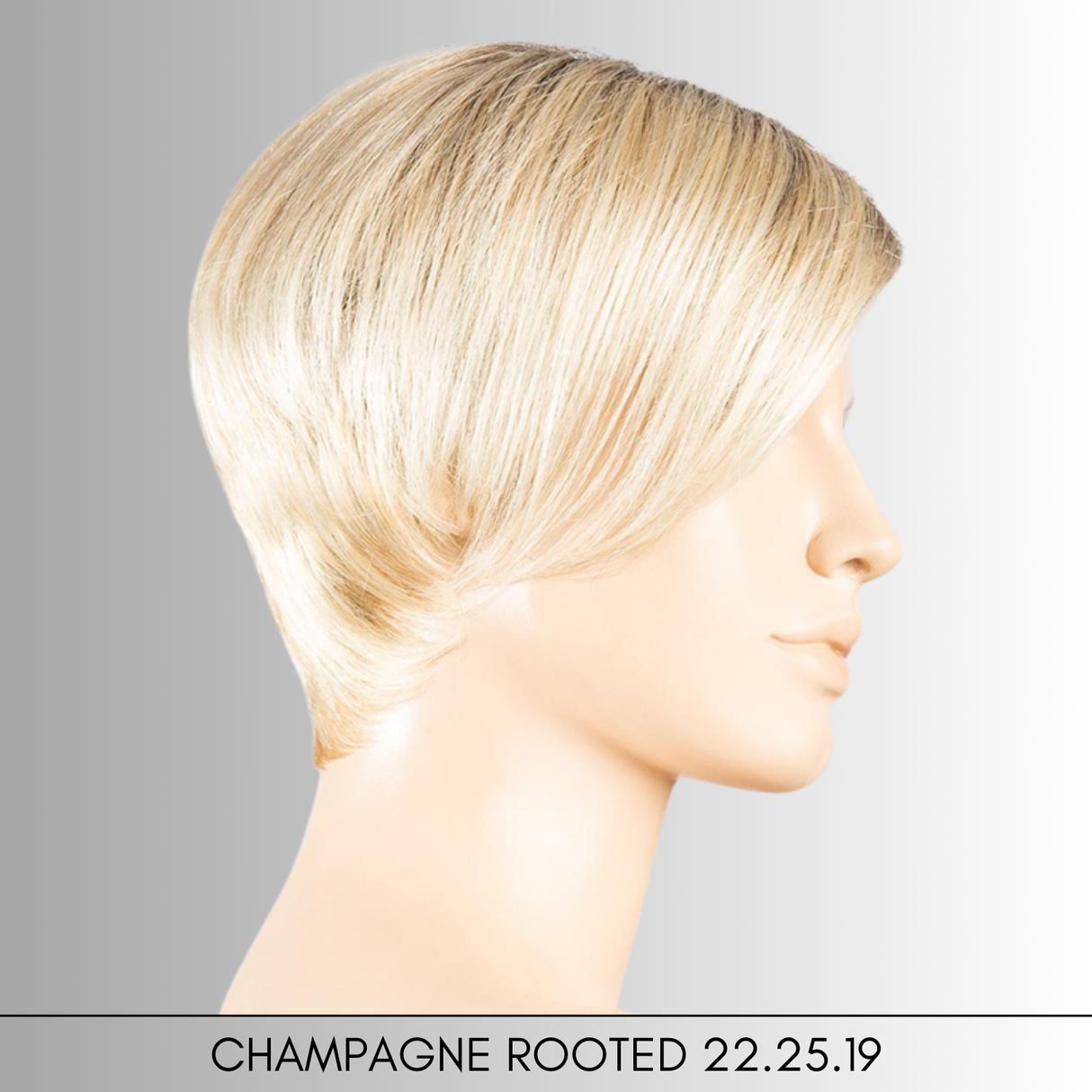 Disc - Hair Power Collection by Ellen Wille