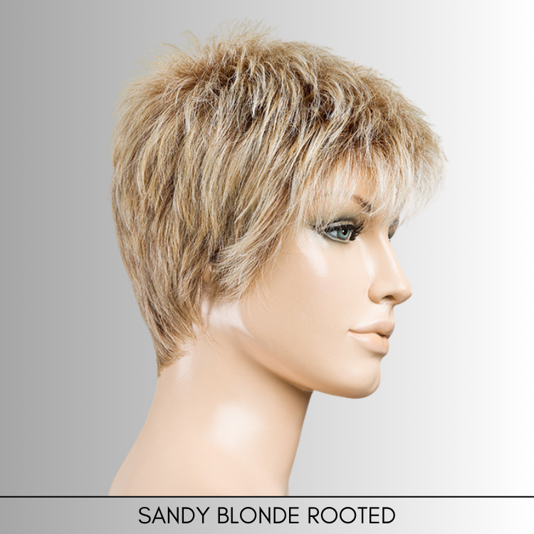 Chat - Perucci Collection by Ellen Wille