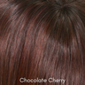 Charlotte - Synthetic Wig Collection by Envy