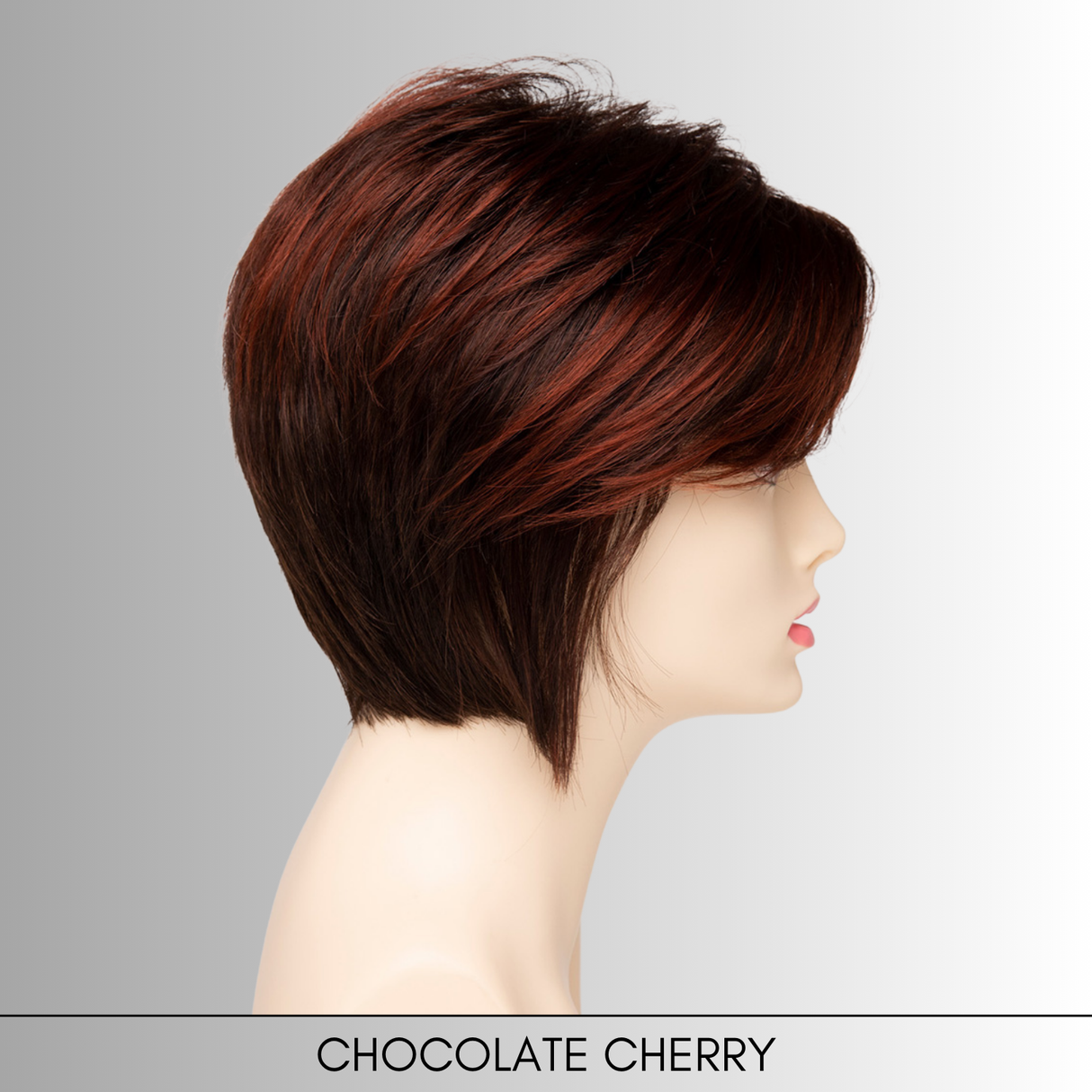 Chantel - Synthetic Wig Collection by Envy