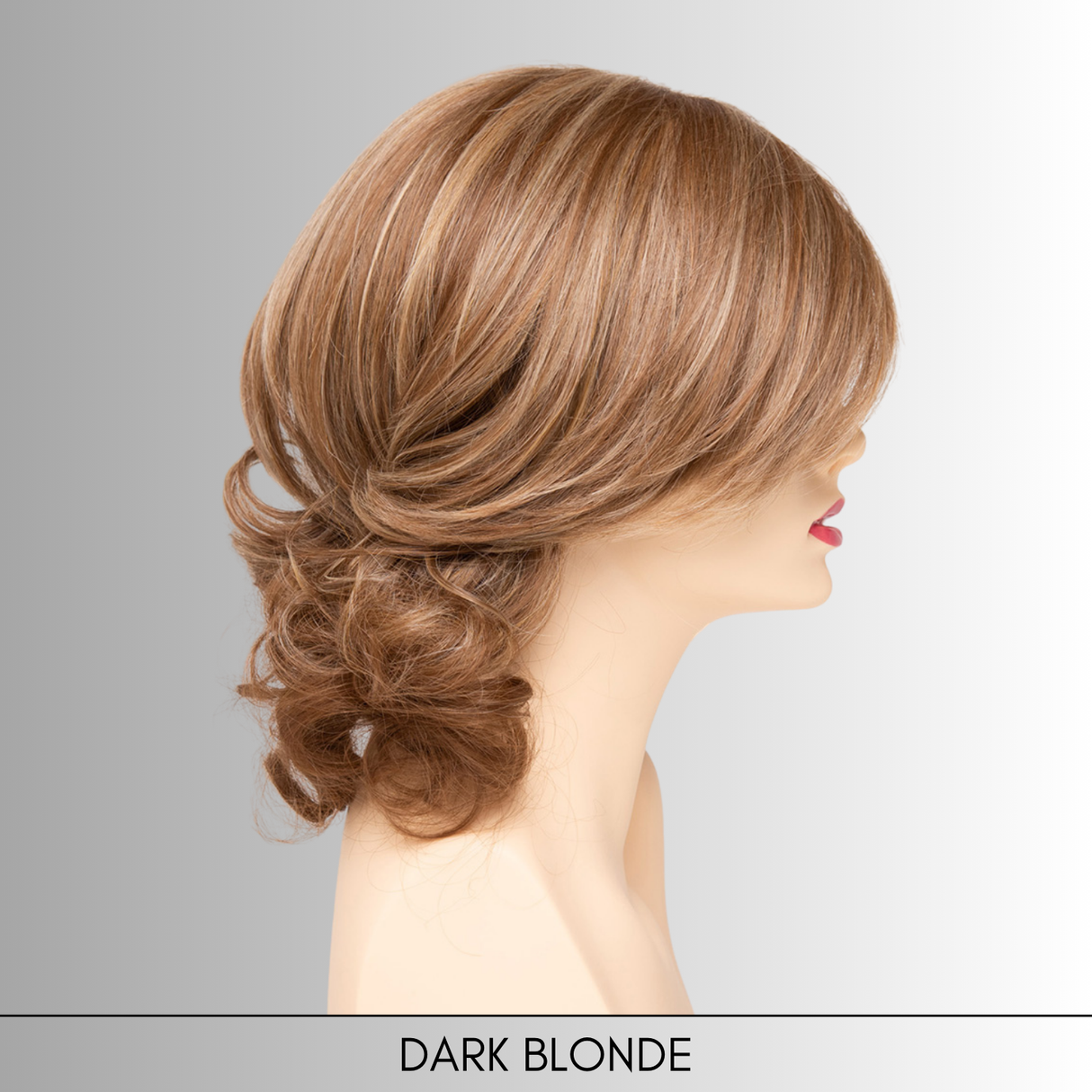 Danielle - EnvyHair Collection