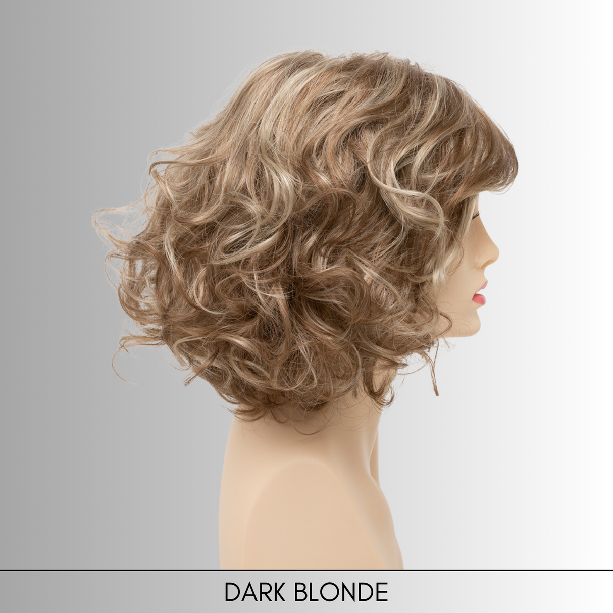 Bianca - Synthetic Wig Collection by Envy