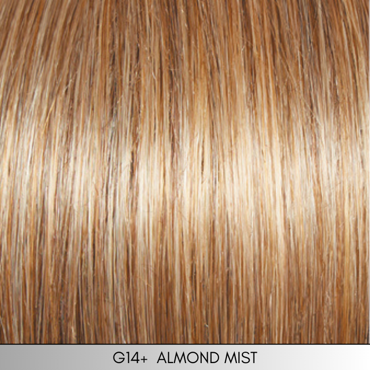 Renew - Plus Colors Collection by Gabor