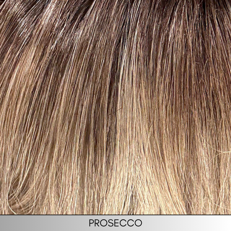 Charlotte (Large) - Synthetic Wig Collection by Envy