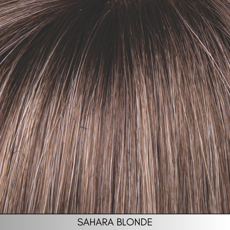 Charlotte (Petite) - Synthetic Wig Collection by Envy