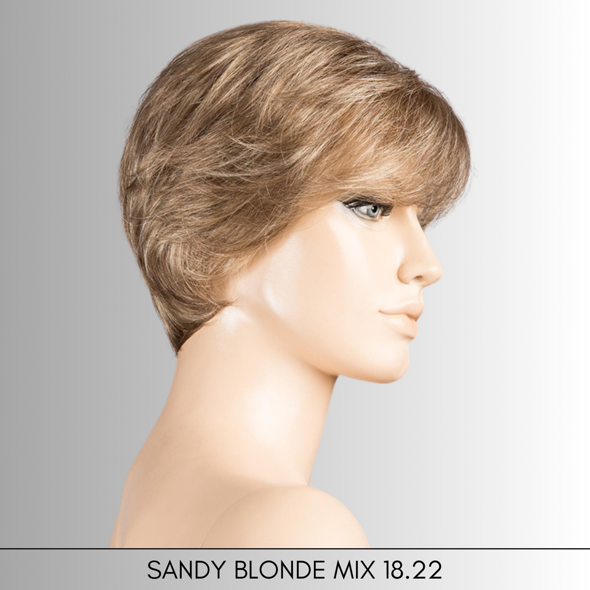 Cara 100 Deluxe - Hair Power Collection by Ellen Wille