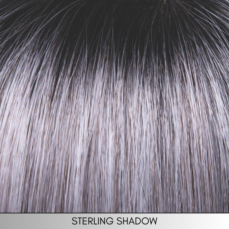 Charlotte (Petite) - Synthetic Wig Collection by Envy