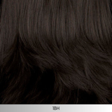 Danielle - Synthetic Wig Collection by Henry Margu