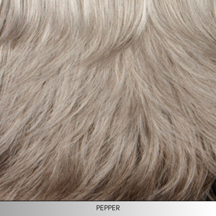 Motion - Synthetic Wig Collection by Mane Attraction
