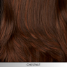 Allure - Synthetic Wig Collection by Mane Attraction