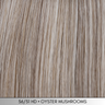 Dawn in 56/51 Oyster Mushrooms - HD Synthetic Wig Collection by Jon Renau ***CLEARANCE***