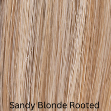 Load image into Gallery viewer, Galaxy European Remy Human Hair - Top Power Collection by Ellen Wille
