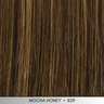 Poised in Mocha Honey (829) - Look Fabulous Collection by TressAllure ***CLEARANCE***
