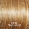 Cinch - Signature Wig Collection by Raquel Welch