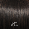 High Octane - Signature Wig Collection by Raquel Welch