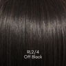 Ready For Take Off - Signature Wig Collection by Raquel Welch