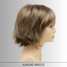 Delaney - Synthetic Wig Collection by Envy