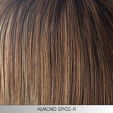 Medium Top Piece - Hi Fashion Hair Enhancement Collection by Rene of Paris