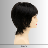 Jane - Synthetic Wig Collection by Envy