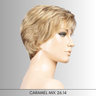 Cara Small Deluxe  - Hair Power Collection by Ellen Wille