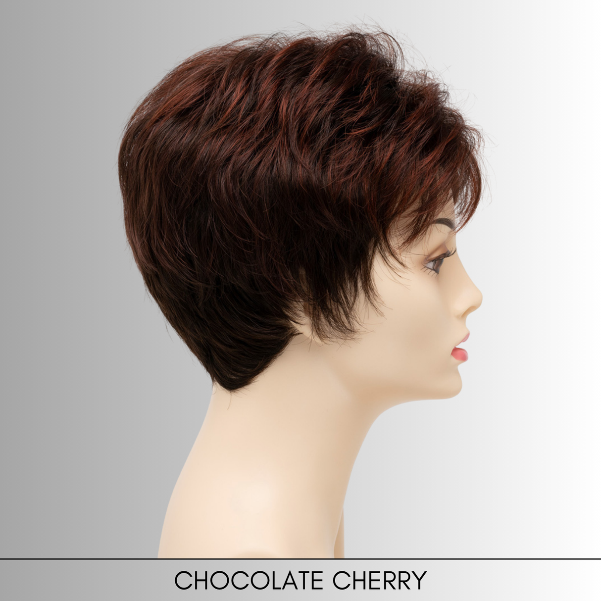 Jacqueline (Petite) - Synthetic Wig Collection by Envy