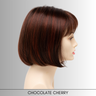 Petite Scarlett - Synthetic Wig Collection by Envy