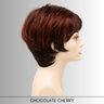 Elle - Synthetic Wig Collection by Envy