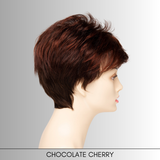 Jamie - Synthetic Wig Collection by Envy