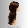 Sheena - Synthetic Wig Collection by Envy