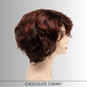 Suzi - Synthetic Wig Collection by Envy