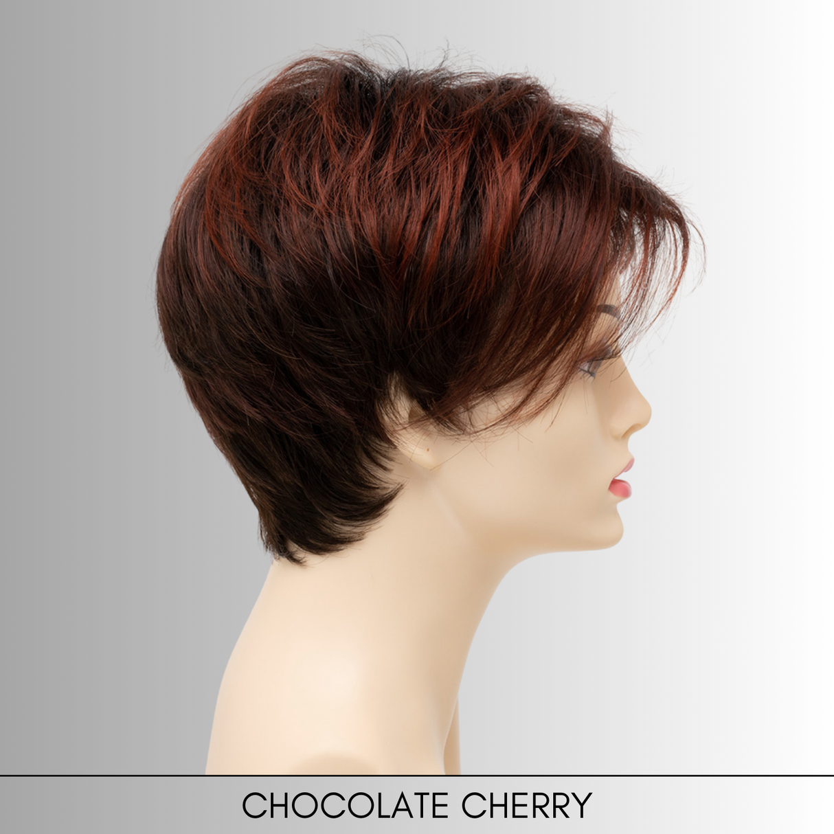 Shari (Large Cap) - Synthetic Wig Collection by Envy