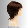 Jane - Synthetic Wig Collection by Envy