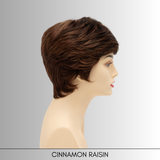 Jeannie - Synthetic Wig Collection by Envy