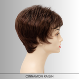 Jacqueline (Petite) - Synthetic Wig Collection by Envy