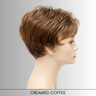 Jacqueline (Petite) - Synthetic Wig Collection by Envy