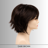 Delaney - Synthetic Wig Collection by Envy