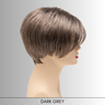 Amy - Synthetic Wig Collection by Envy