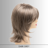 Rose - Synthetic Wig Collection by Envy