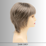 Jane - Synthetic Wig Collection by Envy