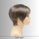 Miley - Synthetic Wig Collection by Envy