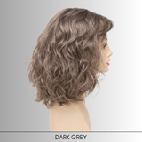 Dakota - Synthetic Wig Collection by Envy