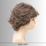 Savannah - Synthetic Wig Collection by Envy