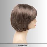 Haley - Synthetic Wig Collection by Envy