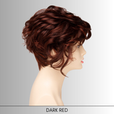 Carrisa - Synthetic Wig Collection by Envy