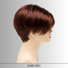 Amy - Synthetic Wig Collection by Envy