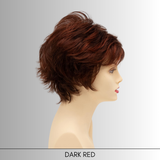 Marita - Synthetic Wig Collection by Envy