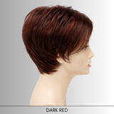 Shari - Synthetic Wig Collection by Envy