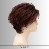 Micki - Synthetic Wig Collection by Envy